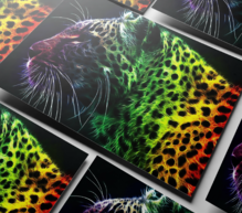 Полиграфия